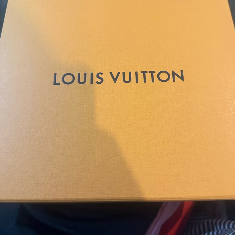 Louis Vuitton Monochrome Men's Sneakers - Picture 8 of 8